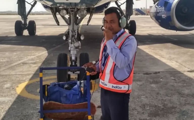 Our Alumini’s at Work